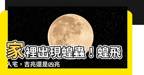 家裡有蝗蟲|【家裡出現蝗蟲】家裡出現蝗蟲！蝗飛入宅，吉兆還是凶兆？